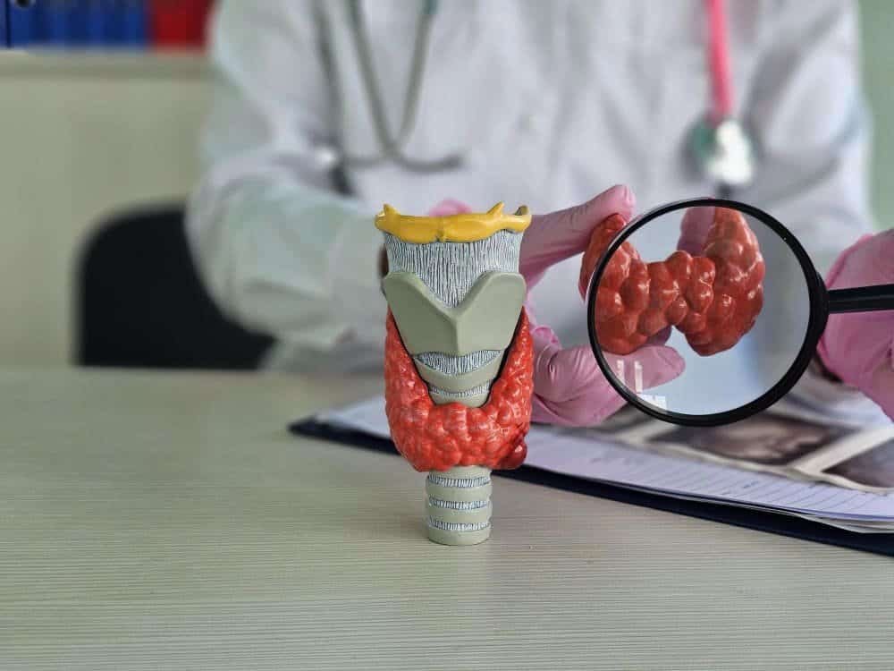 عقيدات الغدة الدرقية الصلبة