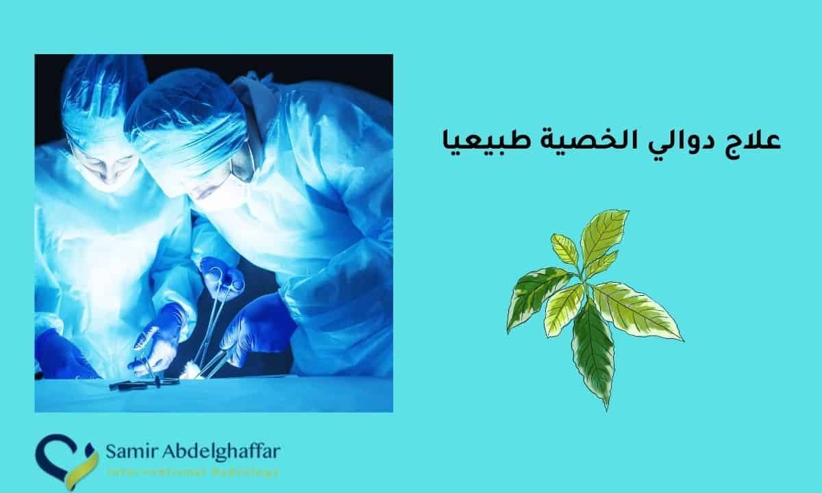 علاج دوالي الخصية طبيعيا